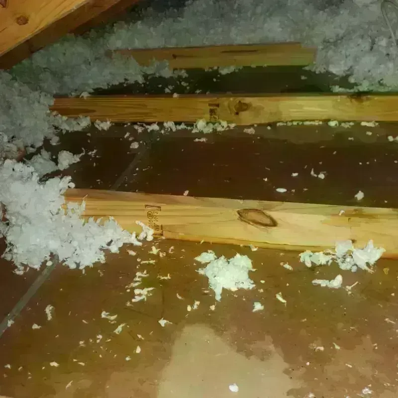 Attic Water Damage in Hazlet Township, NJ